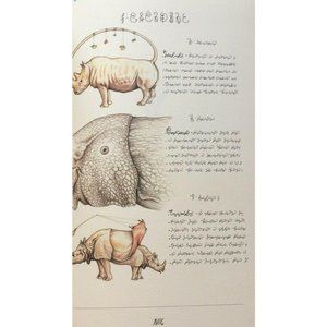 Luigi Serafini Codex Seraphinianus Print 98